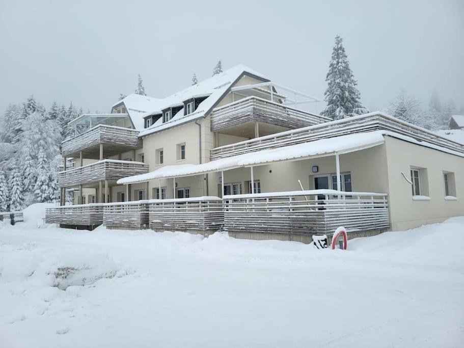 Appartement Chaleureux Au Pied Des Pistes Orbey Eksteriør bilde
