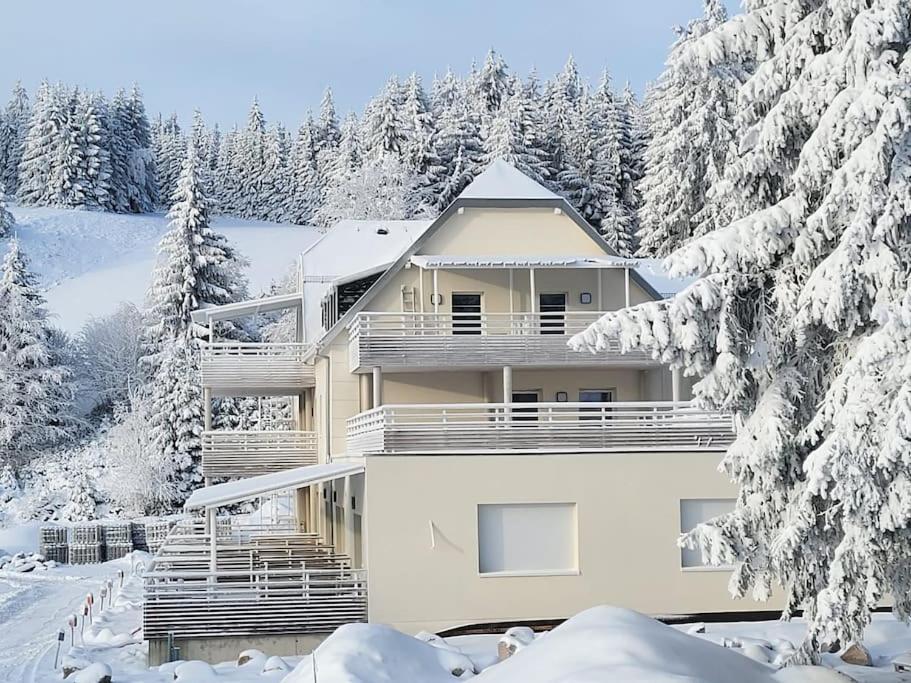 Appartement Chaleureux Au Pied Des Pistes Orbey Eksteriør bilde